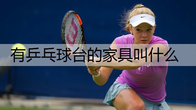 有乒乓球台的家具叫什么
