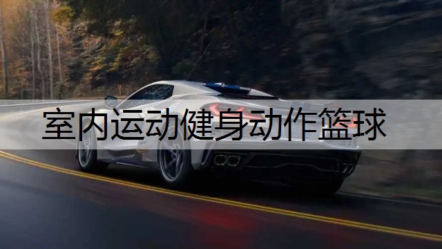 室内运动健身动作篮球
