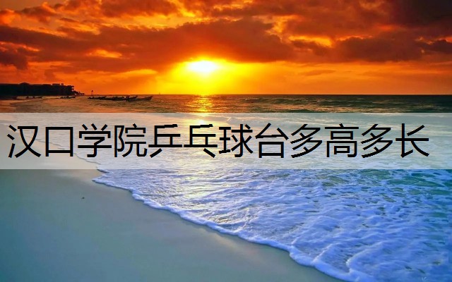 汉口学院乒乓球台多高多长