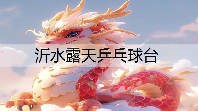 沂水露天乒乓球台