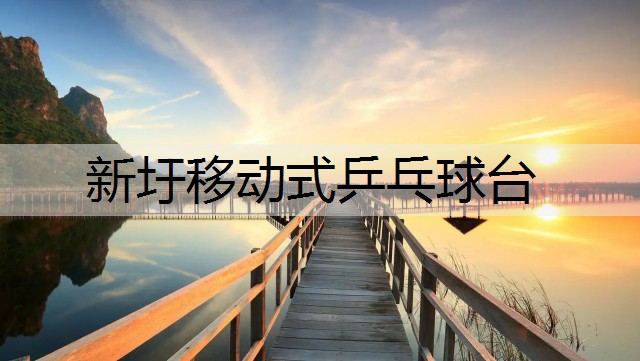 新圩移动式乒乓球台