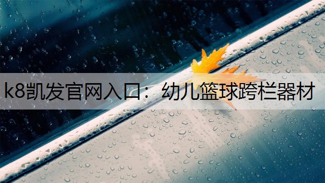 k8凯发官网入口：幼儿篮球跨栏器材
