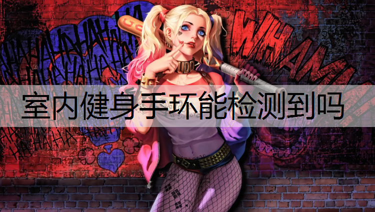 室内健身手环能检测到吗