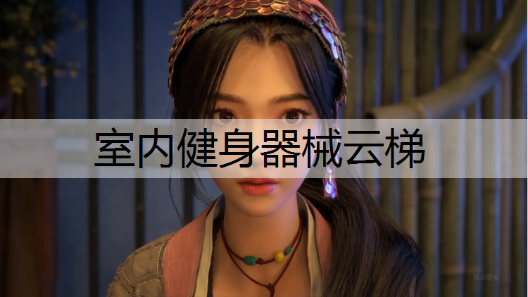 室内健身器械云梯
