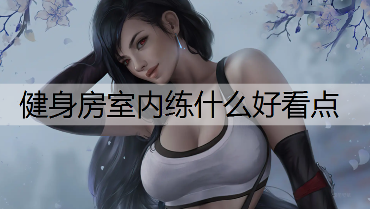 健身房室内练什么好看点