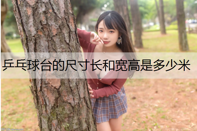 乒乓球台的尺寸长和宽高是多少米