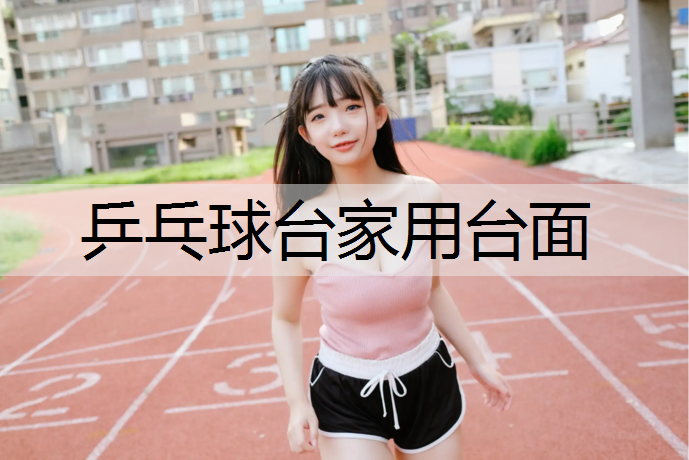 乒乓球台家用台面