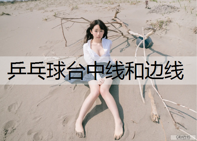 乒乓球台中线和边线