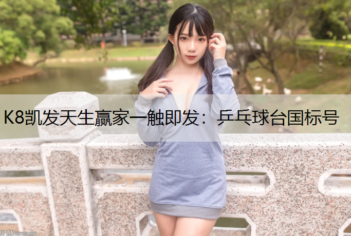 K8凯发天生赢家一触即发：乒乓球台国标号