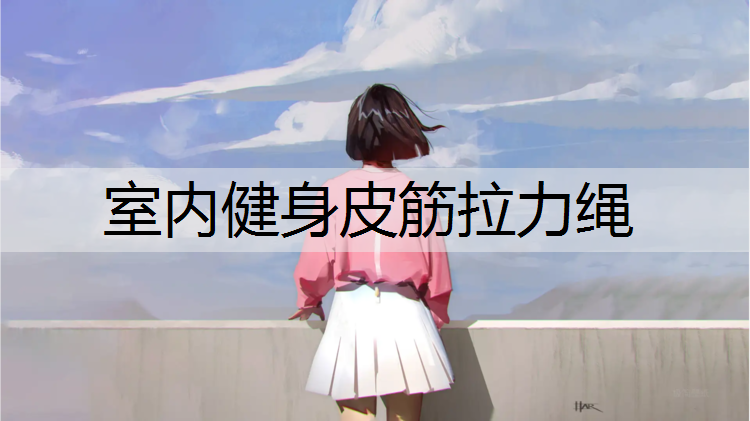 室内健身皮筋拉力绳