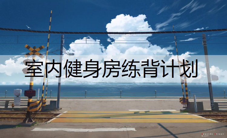 室内健身房练背计划