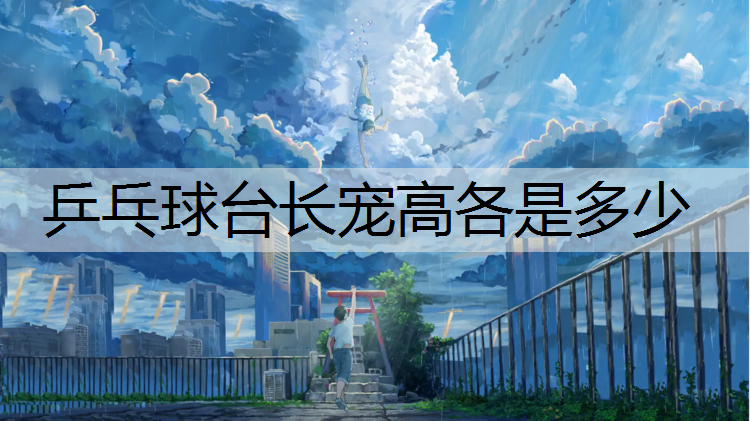 乒乓球台长宠高各是多少