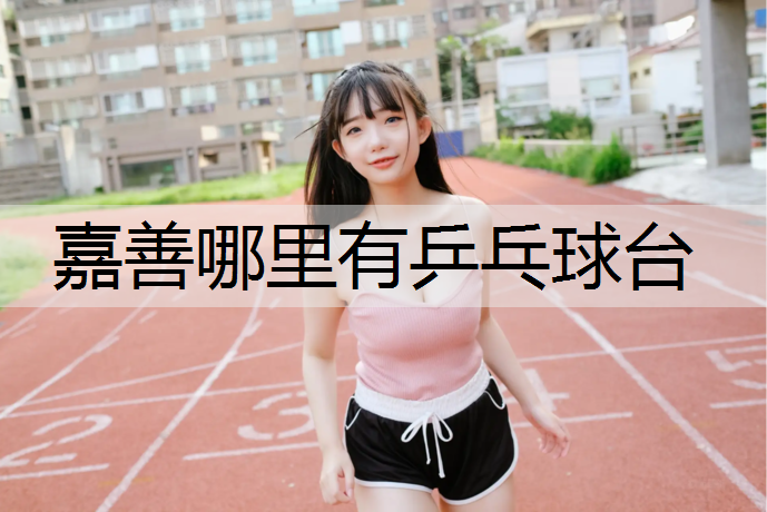 嘉善哪里有乒乓球台