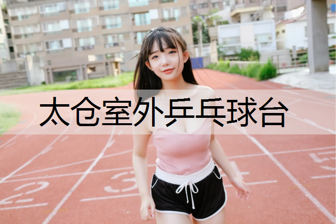 太仓室外乒乓球台