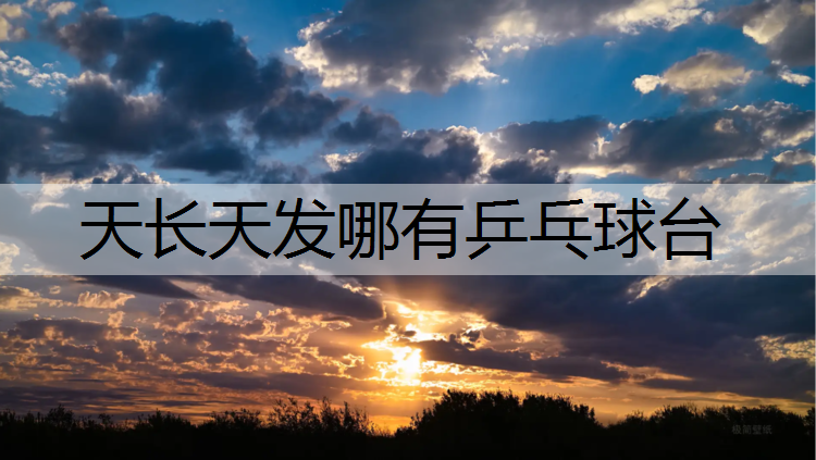 天长天发哪有乒乓球台