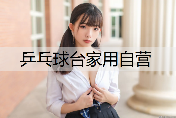 乒乓球台家用自营