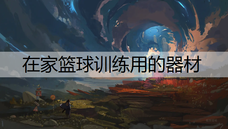 在家篮球训练用的器材