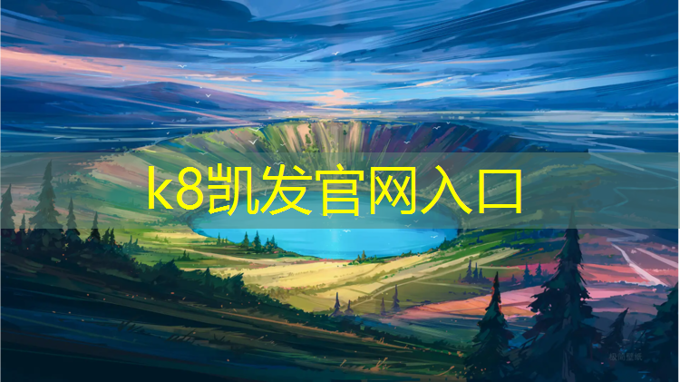 k8凯发官网入口：新网球网子2020