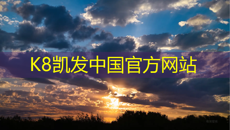 K8凯发天生赢家一触即发：跆拳道单招护具