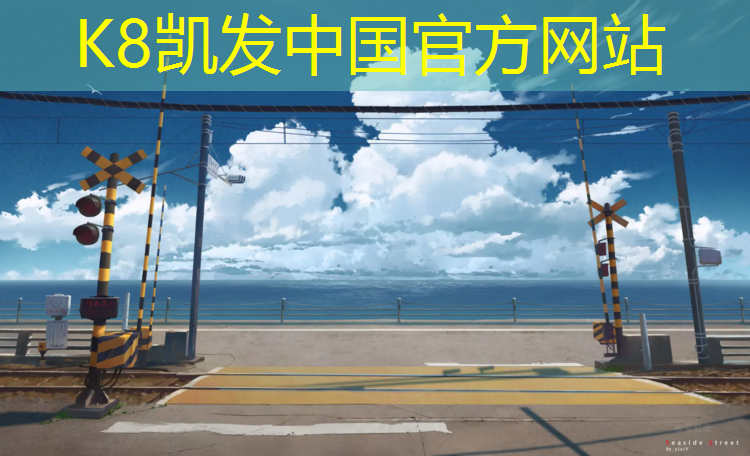 K8凯发：芜湖运动塑胶跑道价格多少_
