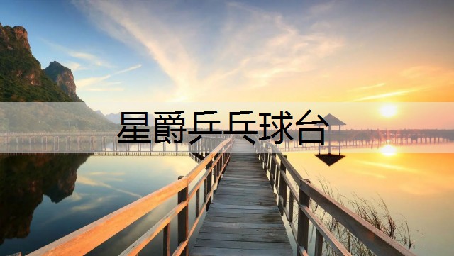 星爵乒乓球台