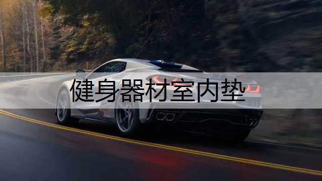 健身器材室内垫