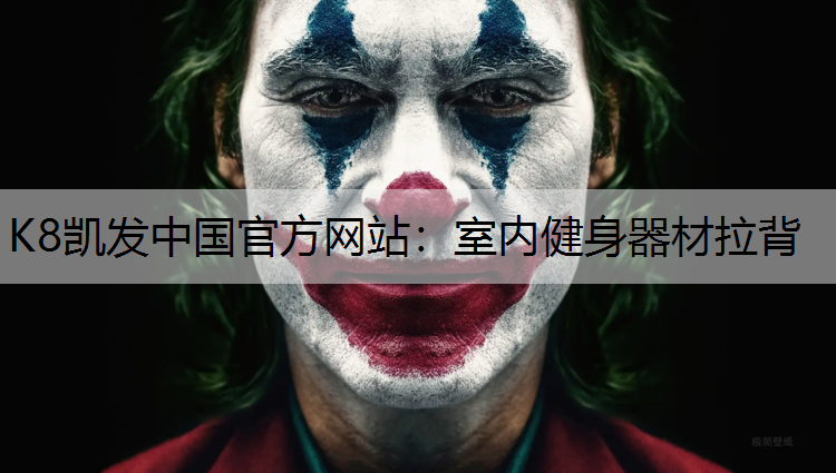 室内健身器材拉背