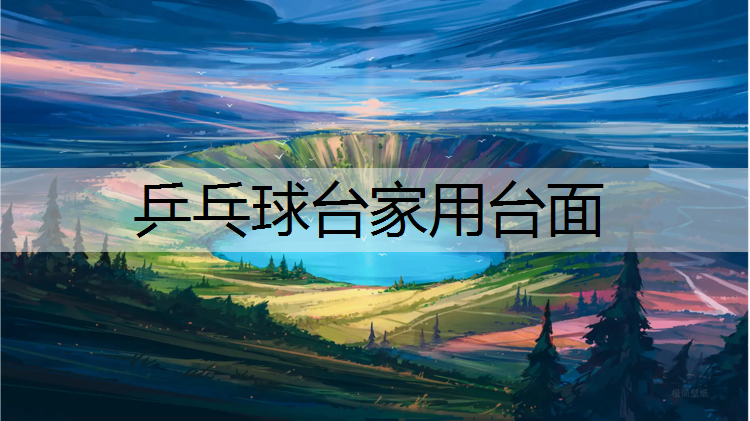 乒乓球台家用台面