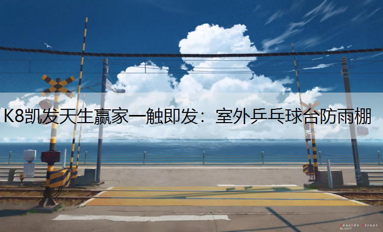室外乒乓球台防雨棚