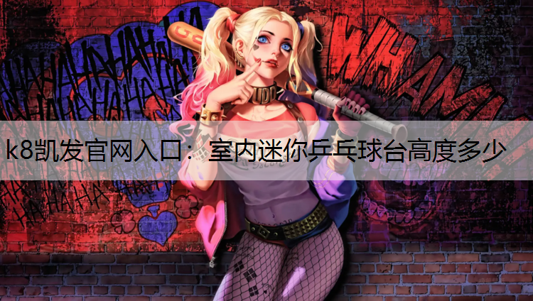 室内迷你乒乓球台高度多少