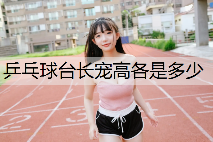 乒乓球台长宠高各是多少