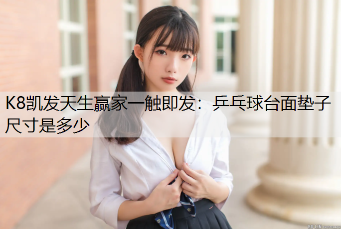 乒乓球台面垫子尺寸是多少