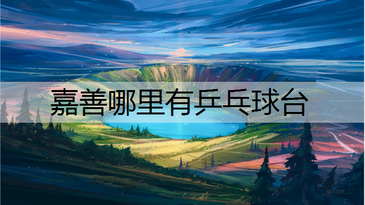 嘉善哪里有乒乓球台
