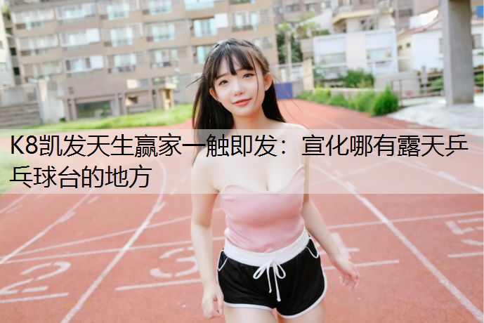 宣化哪有露天乒乓球台的地方