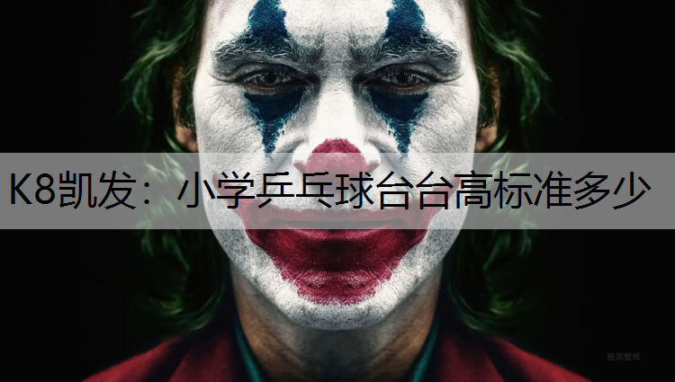 小学乒乓球台台高标准多少