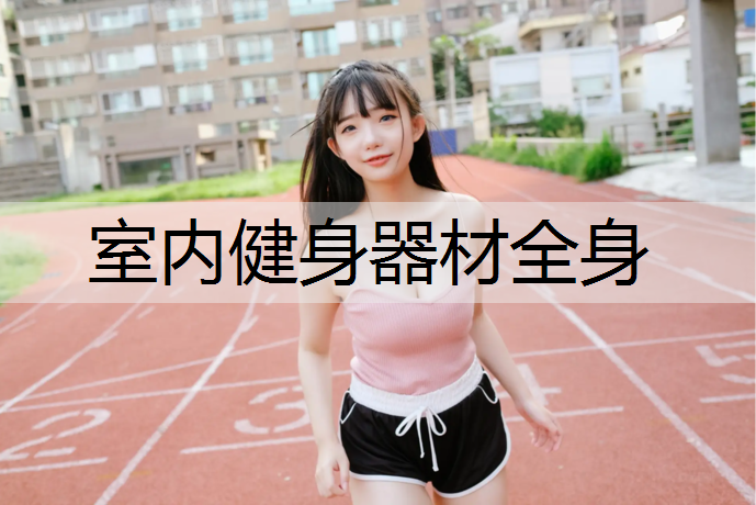 室内健身器材全身