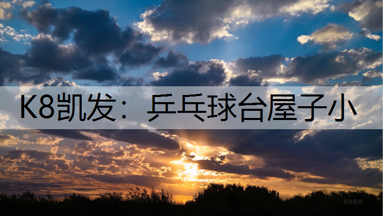乒乓球台屋子小