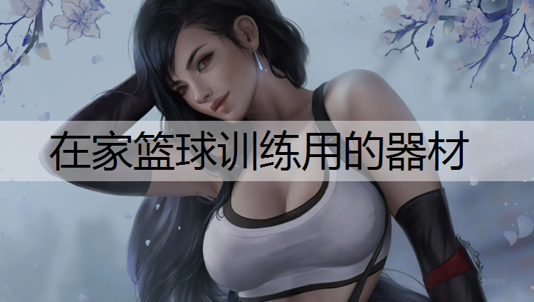在家篮球训练用的器材